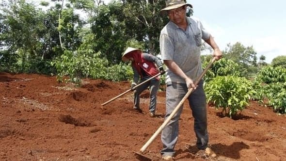 Bản đồ dinh dưỡng giúp quản lý sức khỏe đất, bón phân chính xác