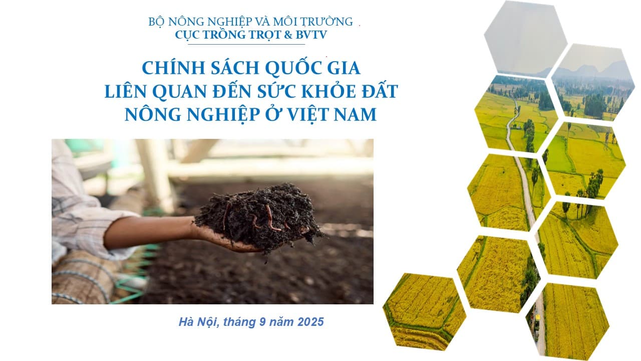Chính sách quốc gia liên quan đến sức khỏe đất nông nghiệp ở Việt Nam