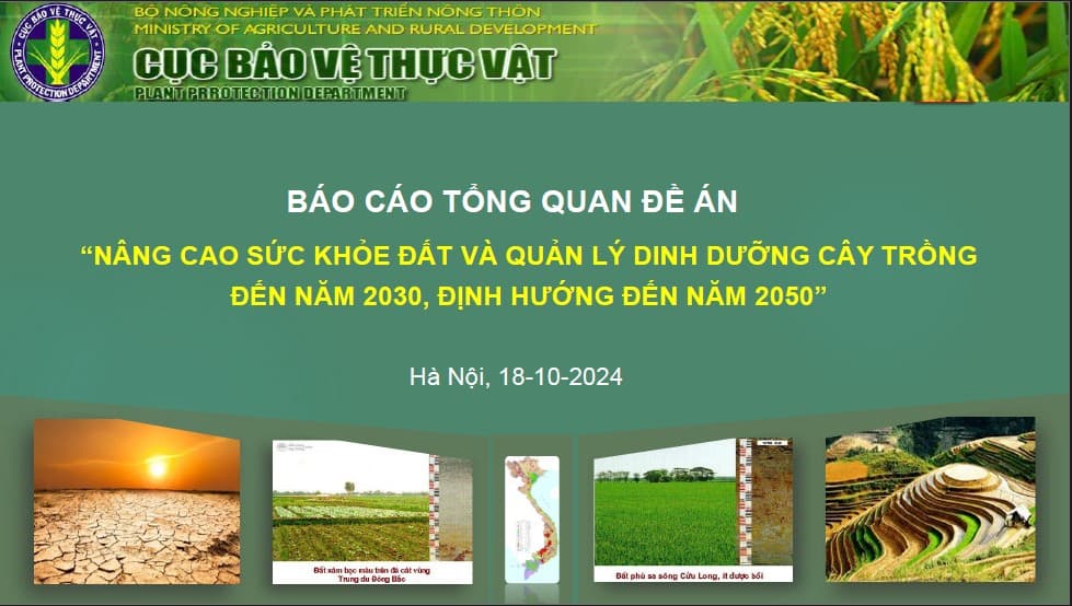 Đề án nâng cao Sức khỏe đất và quản lý dinh dưỡng cây trồng