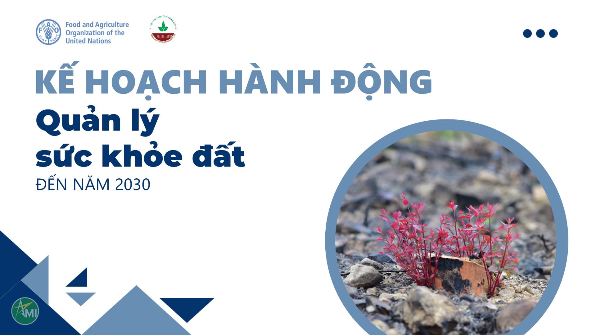 Kế hoạch hành động thực hiện Chiến lược sức khỏe đất