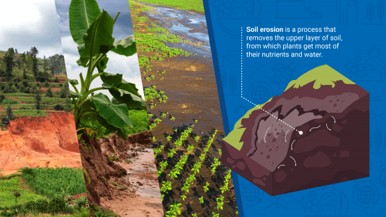 Đối với đất bị xói mòn