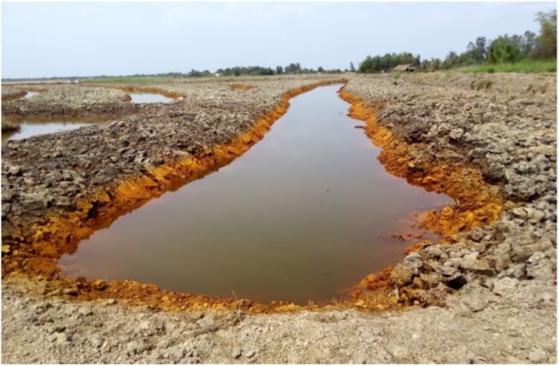 Đất bị nhiễm phèn