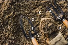 Dấu hiệu nhận biết các vấn đề Sức khỏe đất