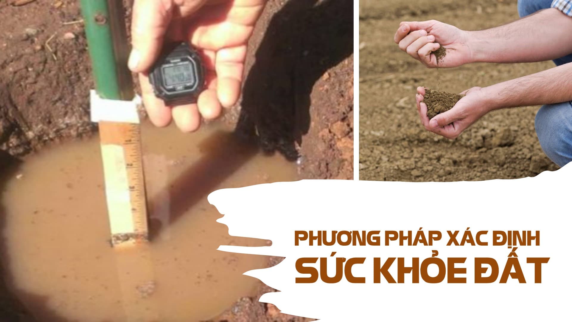 Phương pháp xác định Sức khỏe đất